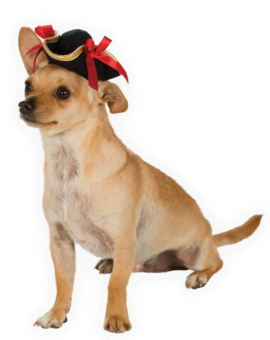 Rubies Costume 886856-S-M Co Pirate Girl Hat Pet Costume Accessory Small/Medium